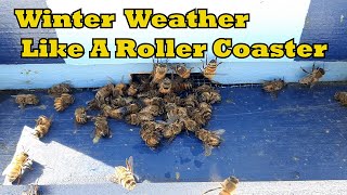 Winter Weather Like A Roller Coaster