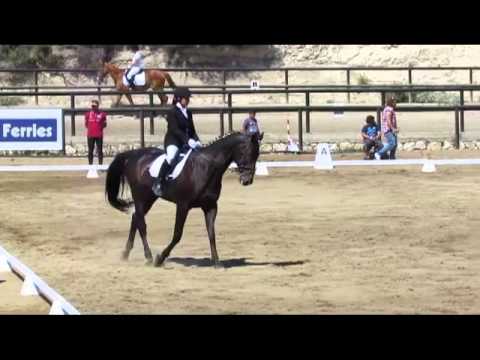 A3 - Maria Hatzivasileiou & Donegal