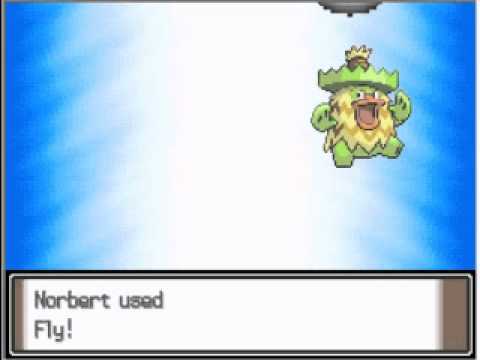 Pokemon Bloody Platinum Walkthrough 30 - Route 212