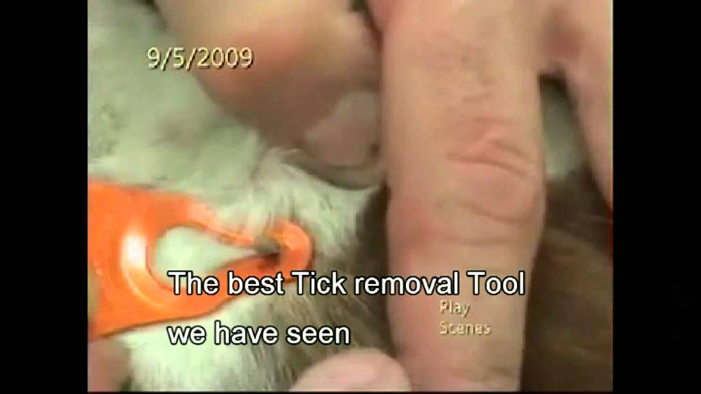 K9Pro Tick Removal Key