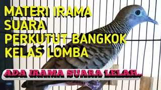 Download lagu MATERI IRAMA SUARA PERKUTUT BANGKOK kelas LOMBA mana yg anda suka... mp3