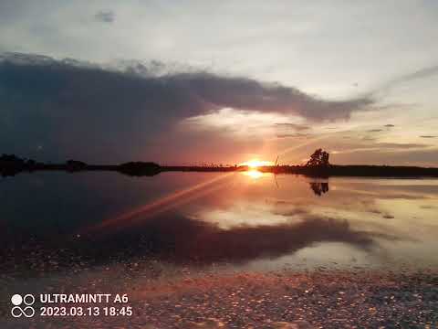 lavie ho yogom wonong maikumz 2023(png music)