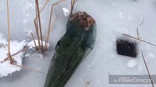 Ловля рака на удочку зимой