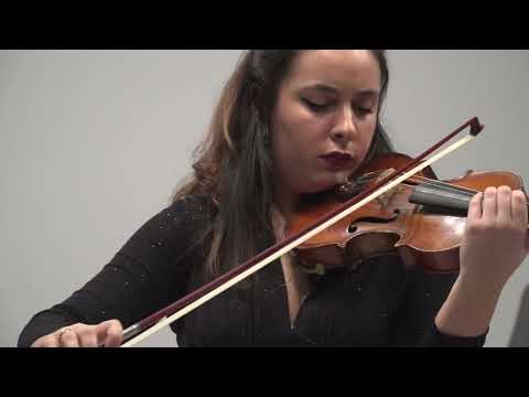 Milstein: Paganiniana  Stasa Zikic