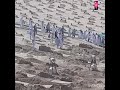 Aye Kash Mujhe Madine Mein Maut Yu Aaye