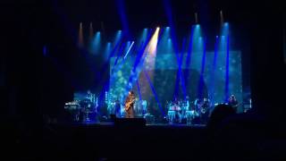 Antônio Carlos Brown, Um Popular Brasileiro - TCA - Covered Saints