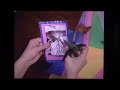 Sing A Song With Tigger Bonus Feature Scrapbooking With Tigger