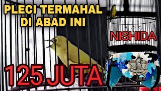 Download lagu PLECI 'NISHIDA' PLECI TERBAIK DAN TERMAHAL DI ABAD INI TERJUAL DENGAN HARGA 125 JUTA||ANDRE PRKATIK mp3