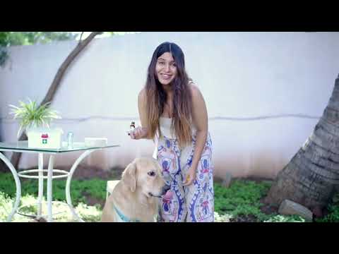 Drops diafine - homeopathic veterinary medicine for digestiv...