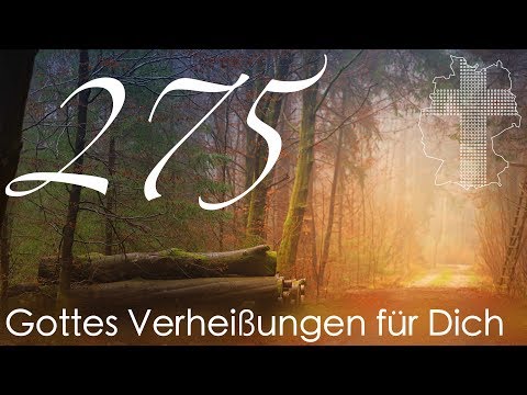 Gottes Verheißungen für Dich - Johannes 3,16 | Videokalender 275/365 - Deutschland braucht JESUS