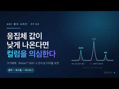 응집체가 사라진다? 흡착 없이 정확히 세는 항체 SEC