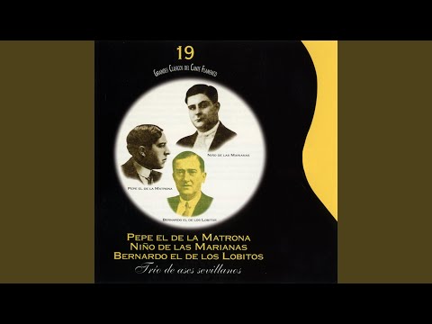 En el Querer No Hay Locura: Soleares