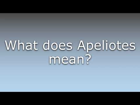 What does Apeliotes mean?