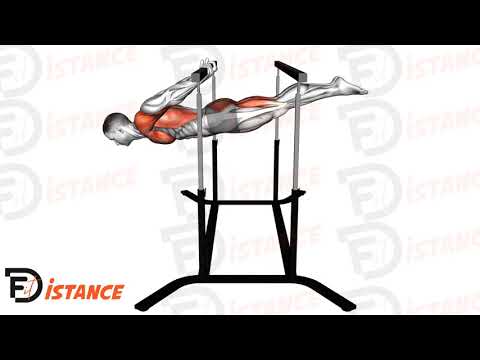 Exercice Back lever