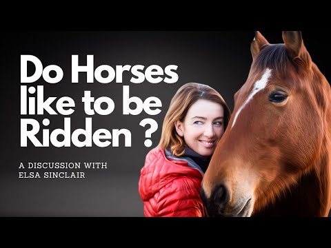 Do Horses Like Being Ridden? Exploring Freedom-Based Training with Elsa Sinclair