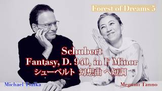 Download lagu 【幻の大曲】シューベルト連弾の最高峰『幻想曲 ヘ短調』(ツァルカ＆丹野めぐみ)｜Schubert: Fantasy in F Minor Four Hands〔1830 Fortepiano〕 mp3