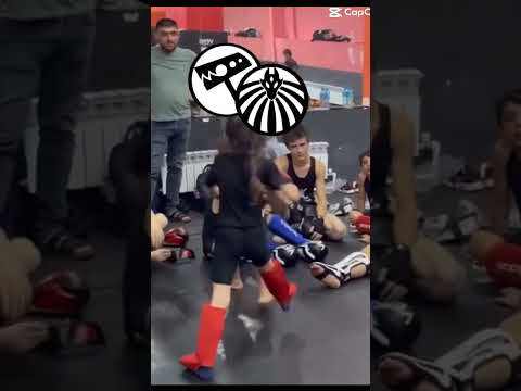 Scp Nine tailed fox vs hammer down