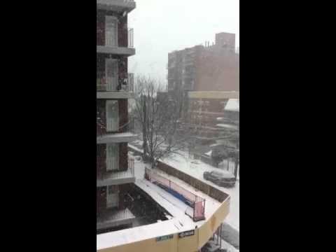 Snow fall 01/26/2011