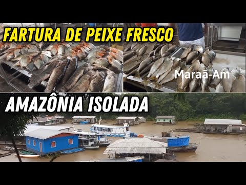 MARAÃ: Fartura de peixe fresco. A vida em um dos municípios mais isolado do interior do Amazonas, ￼