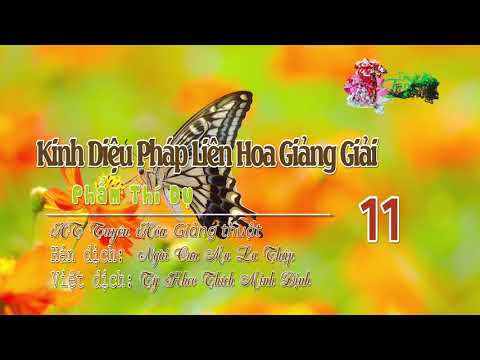 Phẩm Thí Dụ Thứ Ba 11/12