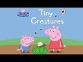 Peppa Pig Tiny Creatures Kids Peppa Pig Book Read Aloud