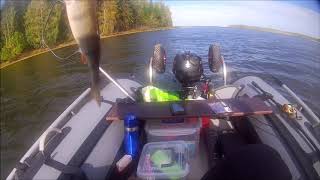 Удилище зимнее кивок smart baits studio