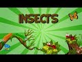 Insects Educational Videos For Kids