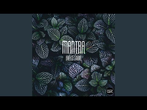 Mantra (feat. Alina Aminova)
