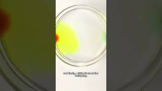 Instant Prussian Blue Color Change Experiment #prussianblue#chemistryexperiment #colorchange