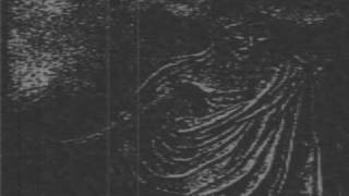 Beautiful Thorn (Original)