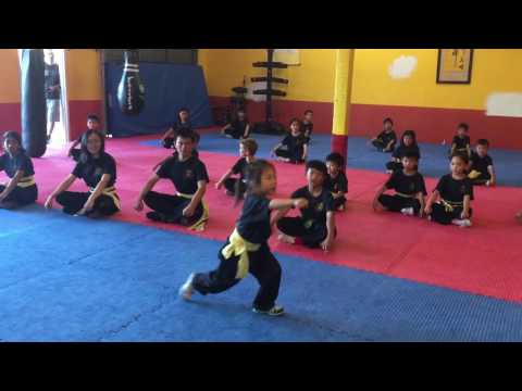 One the of our 4 years old girl (Calleigh) performing the Lianhuan fist