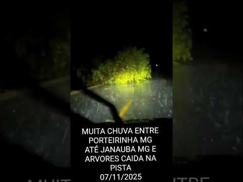 MUITA CHUVA ENTRE PORTEIRINHA MG ATÉ JANAUBA MG E ARVORES CAIDA NA PISTA07/11/2025 INSCREVA-SE