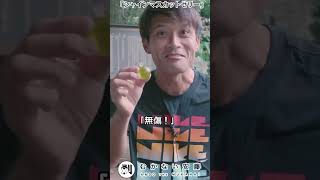 むかない安藤「シャインマスカットゼリー」#shorts