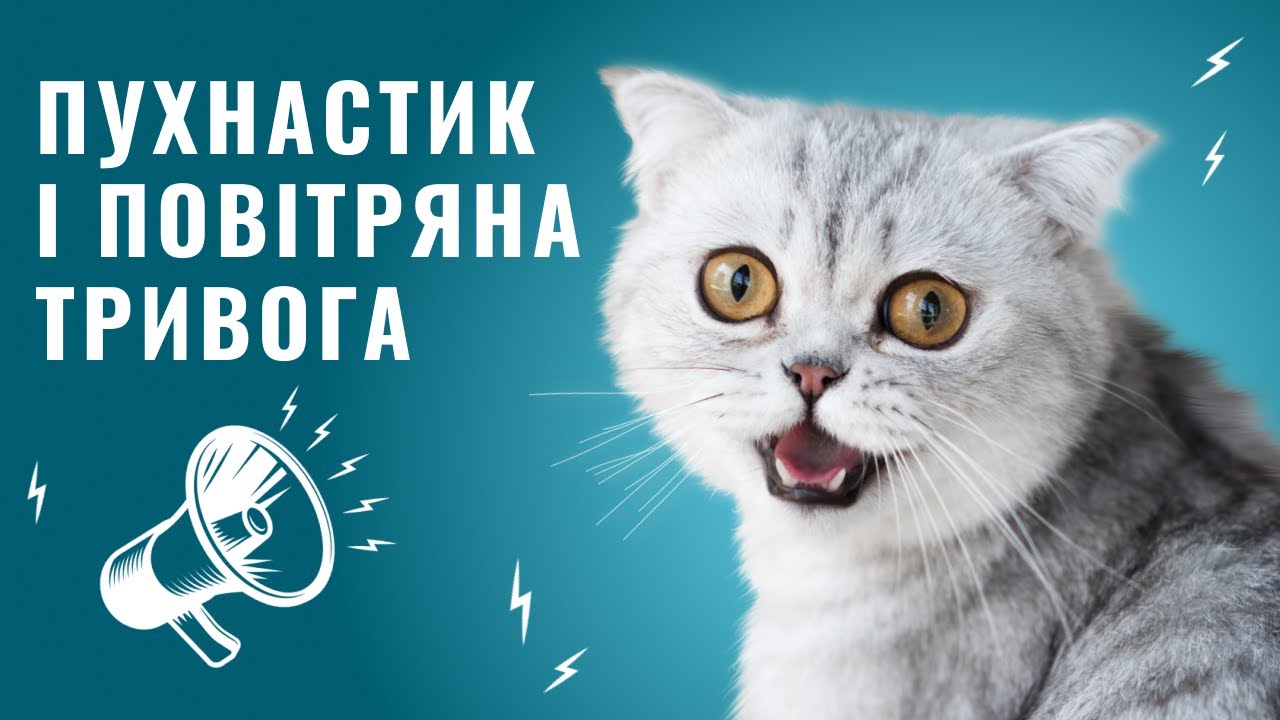 YouTube video preview