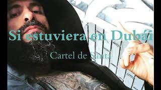 SI ESTUVIERA EN DUBAI -- CARTEL DE SANTA