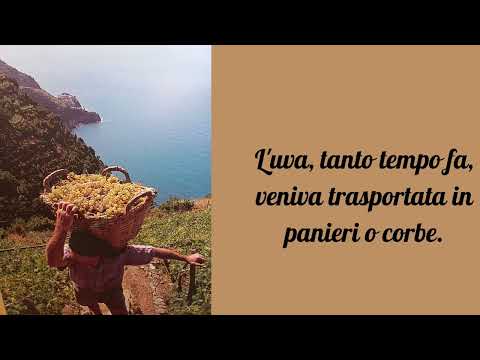 Lo Sciacchetrà: come si produce?