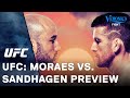 UFC: Moraes vs  Sandhagen Preview