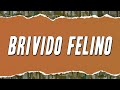 MinaCelentano - Brivido felino (Testo)