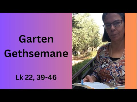 Bibellesung in Israel - Auf dem Ölberg in Jerusalem; Jesus im Garten Gethsemane