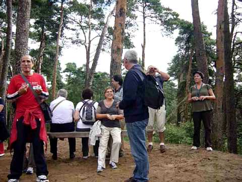 fil per randa paseo holanda