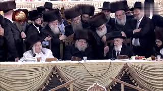 מרן ראש הישיבה חכם שלום הכהן זצוק"ל נשיא מועצת חכמי התורה בריקוד בחתונה עם האדמו"ר מבעלזא - צפו: