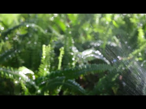 That Afternoon We Solved a Puzzle Under the Summer Sun - Cheerful Piano for Happy Reasoning