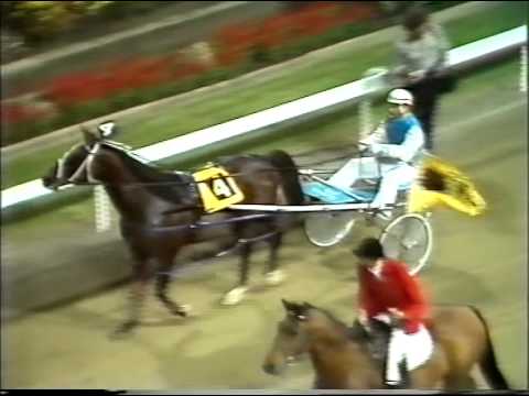 Harness Racing,Harold Park-14/03/1980 Inter-Dominion Heat-4 (Pure Steel-T.Demmler)