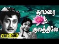 தாமரை பூ குலத்திலே Video Song Muradan Muthu Sivaji Ganesan Devika T 