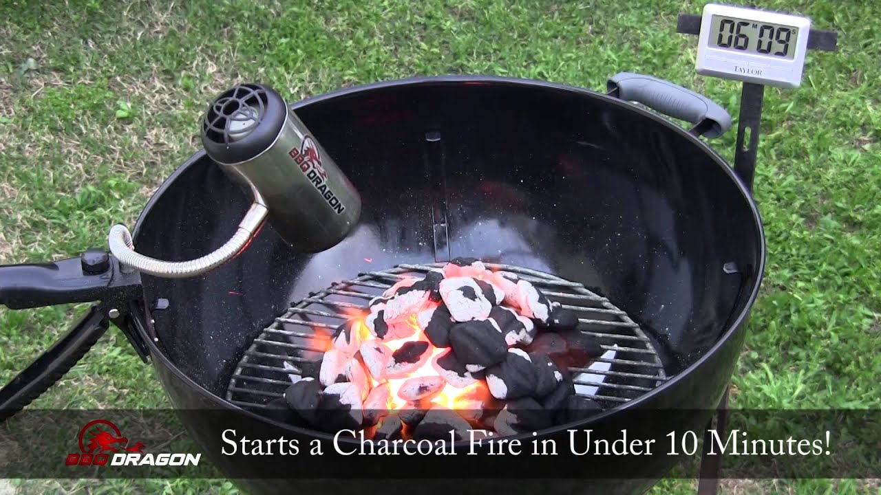 BBQ Dragon BBQ Dragon Touch of Modern