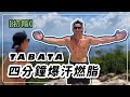 TABATA初階|四分鐘爆汗燃脂|黃欣元TABATA