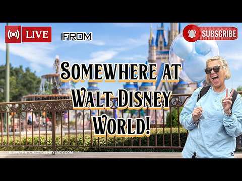 Live webcam of That Crazy Disney Lady