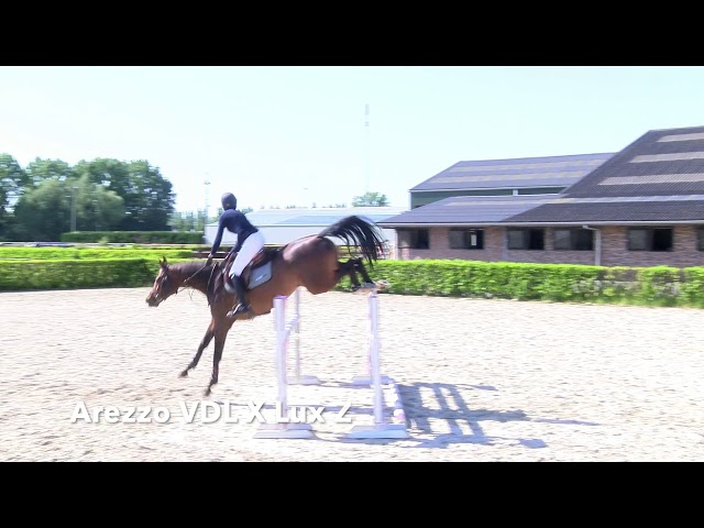 Hertog-Jan Weering Jumping