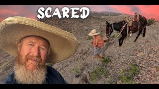 Download lagu I went into some ROUGH Country .. Is it REAL or Ai ? mp3 Download lagu I went into some ROUGH Country .. Is it REAL or Ai ? mp3