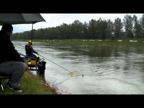 61st Coarse Angling World Championship - Walton Phillip - Ireland